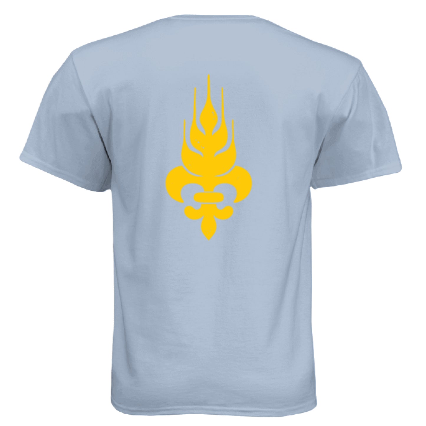 Vintage Stonewash Denim - BACK