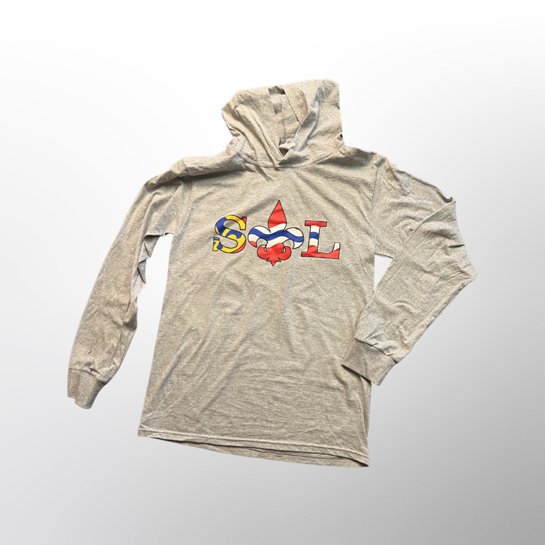 StL City Flag Fleur de Lis T-Shirt Hoodie